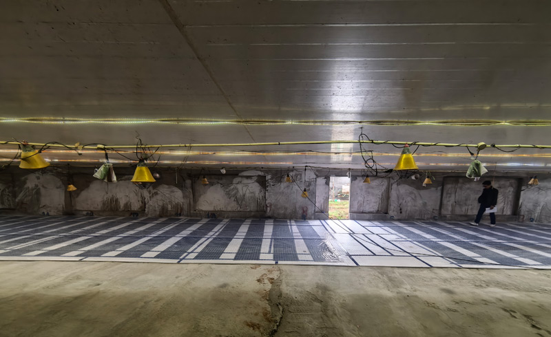 烯材石墨烯电地暖-绵阳牧业养殖场安装工地11